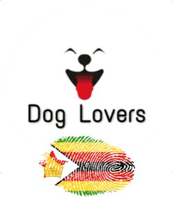Dog Lovers Online Pet Store
