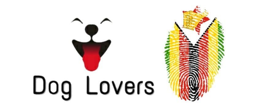 Dog Lovers Pet Supplies